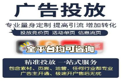 从小白到高手：百度竞价赚钱全记录